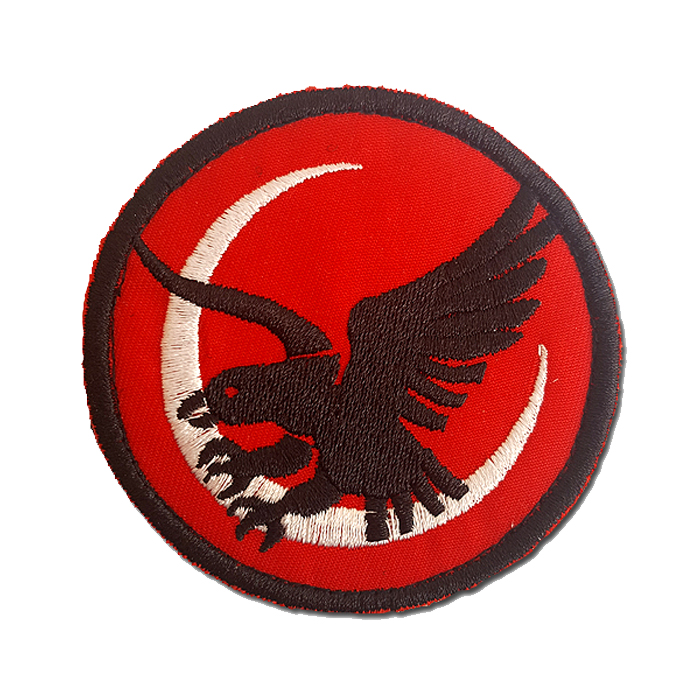 Israeli Air force 109 Valley F-16 Fighting Falcon Squadron Symbol Logo Embroidered Patch