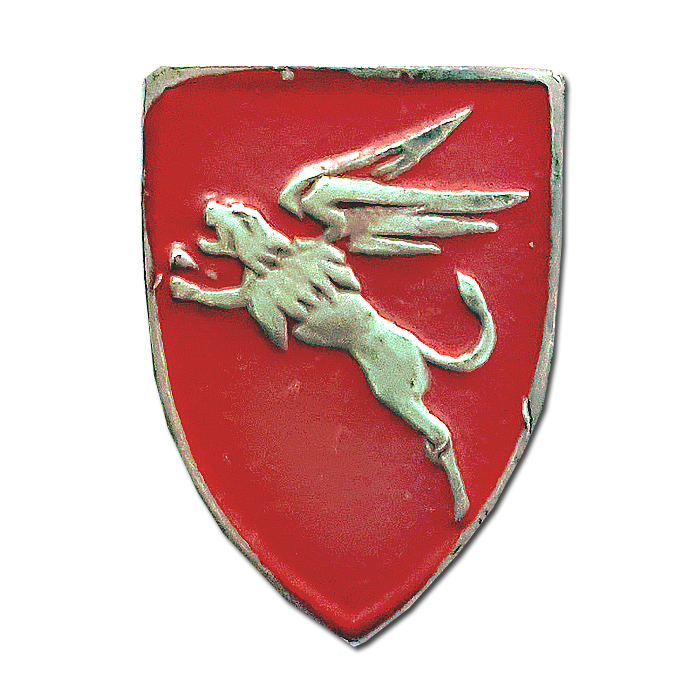 Jordan Valley Lion's Airborne Brigade old pin