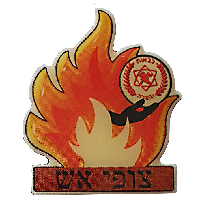 Fire Scouts pin