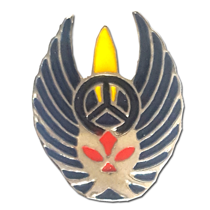 AF Squadron Pin #3613