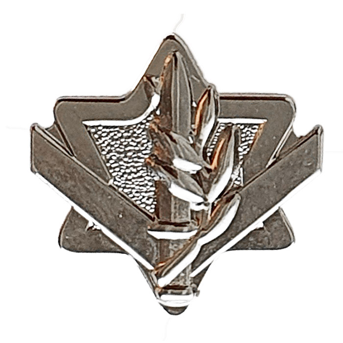 Non-Officers First "Standing Army" career service Graduation pin