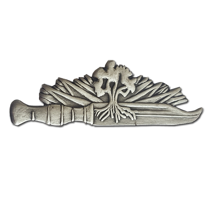Golani Warrior Pin