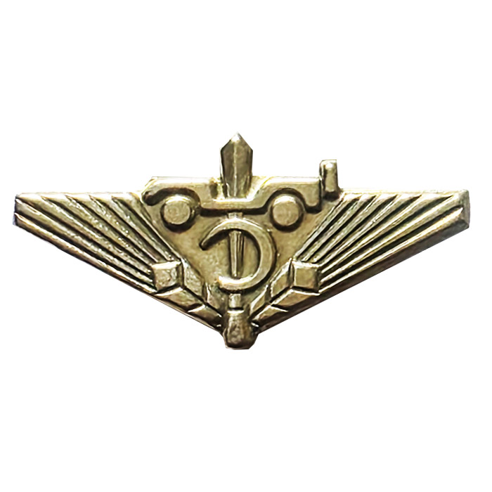 Elite Sayeret Nahal Paran / 931st Battalion IDF Pin.