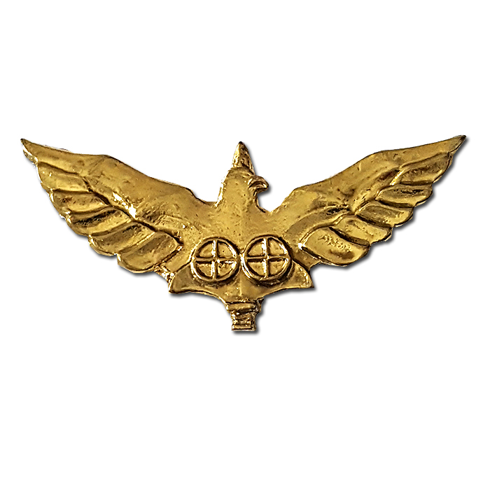 Eagle Regiment Gilded Pin