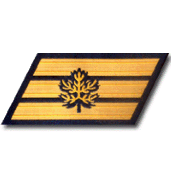 Naval Staff Sergeant