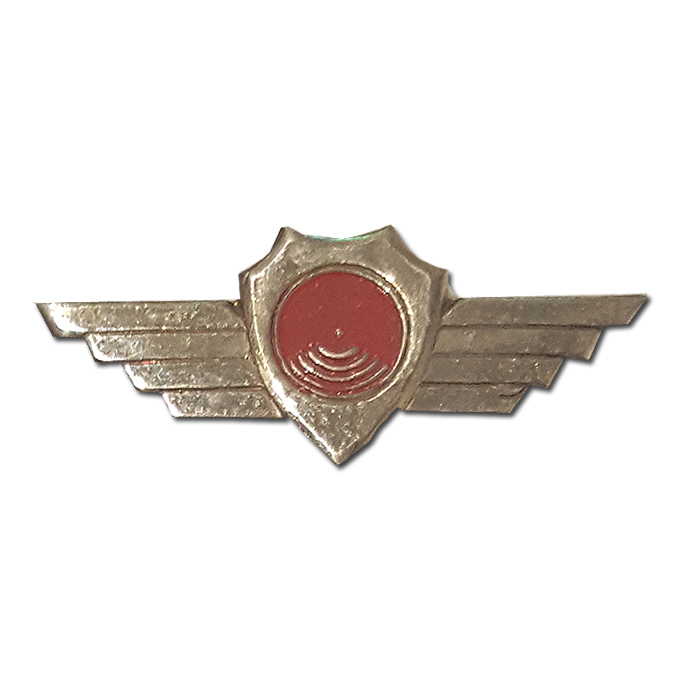 Obsolete Hawk-Eye Badge small pin