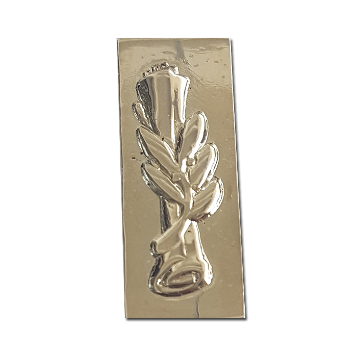 Air Force silvered Academic Officer Rank