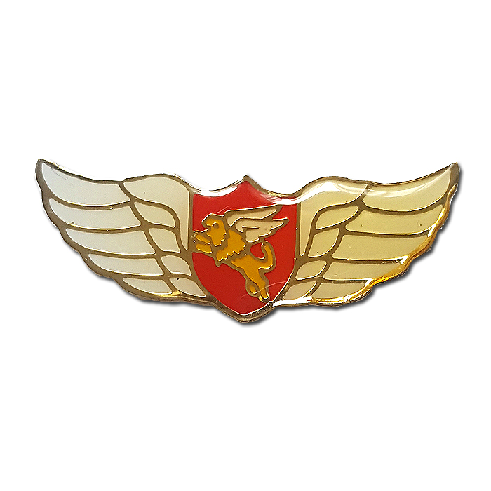 Jordan Valley Airborne brigade - wings pin