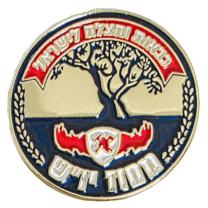 Israeli Firefighter / Fireman/ Fire Department & Rescue Services Judea and Samaria District Customs Uniform Pin.