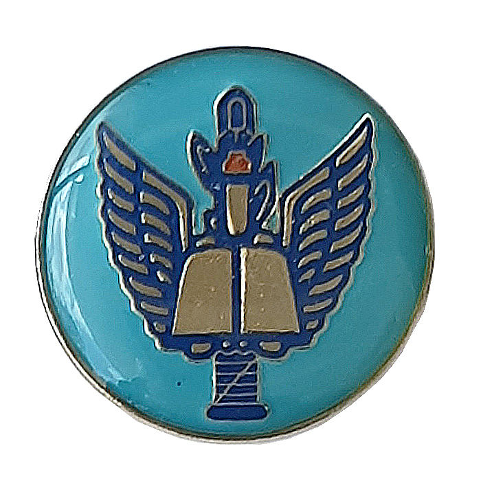 Air Force Cadet Enamel Pin
