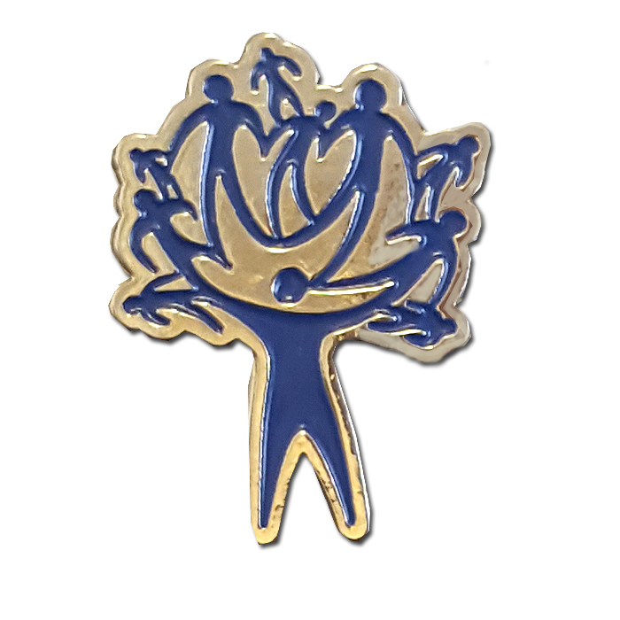 IAF Administration Units / Squadrons former pin