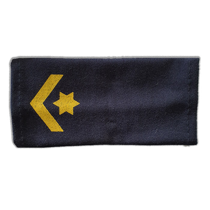 Sergeant Major - Navy (labor uniform)