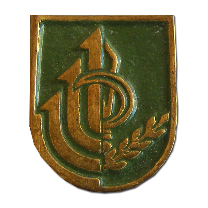 Obsolete Nachal Badge