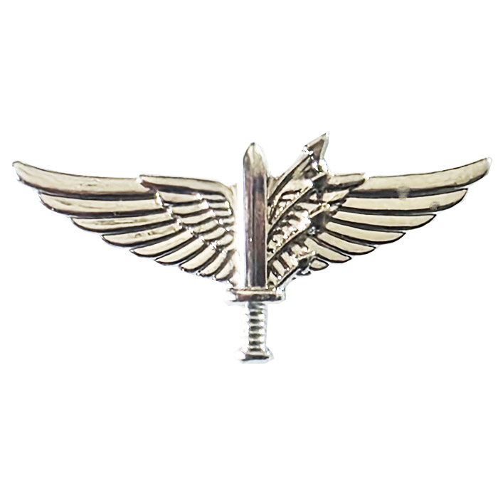 Commemorating the 20th Anniversary of the Marom Brigade Official Symbol
