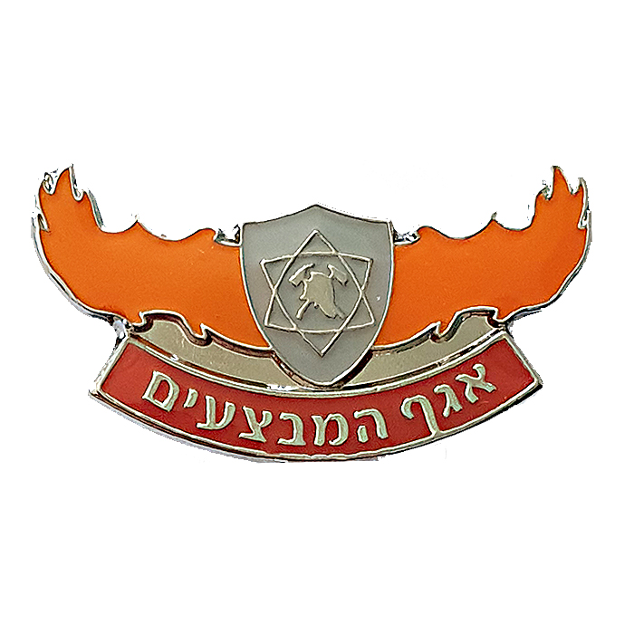 Israeli Firefighting Operations Division pin