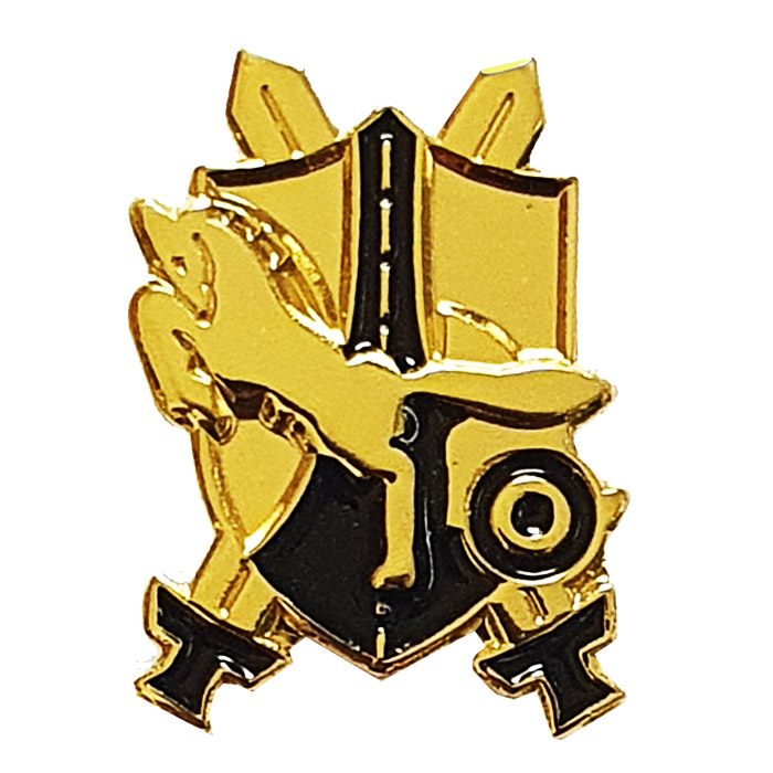 Battalion 6920 Knights of the Center pin 