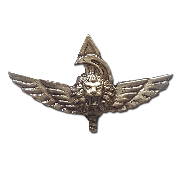 Orthodox Nachal Warrior Pin