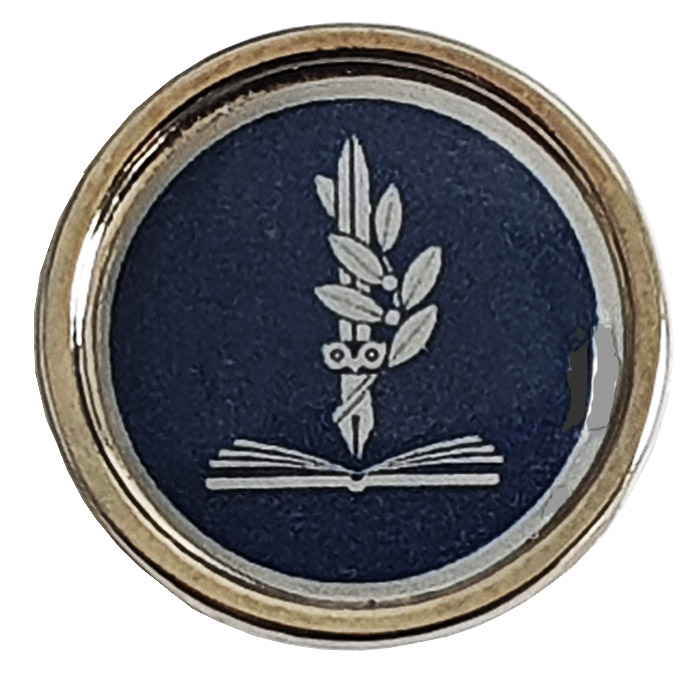 The Academizer pin.
