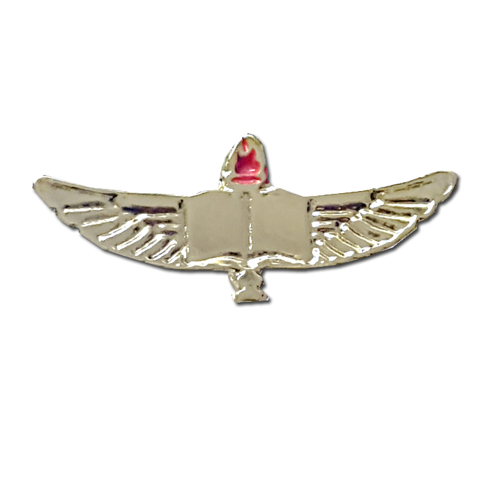 Air Force Cadet Pin