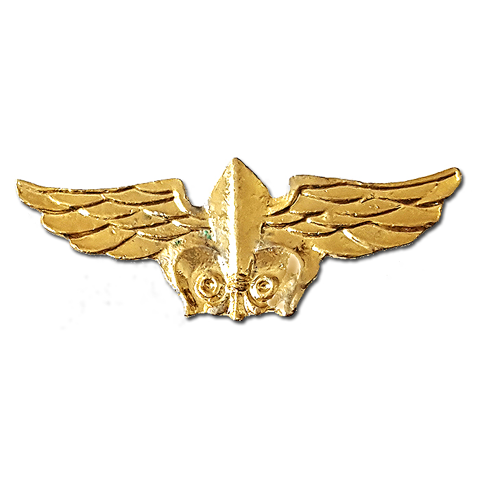 Intelligence Petty Officer Gilded Pin