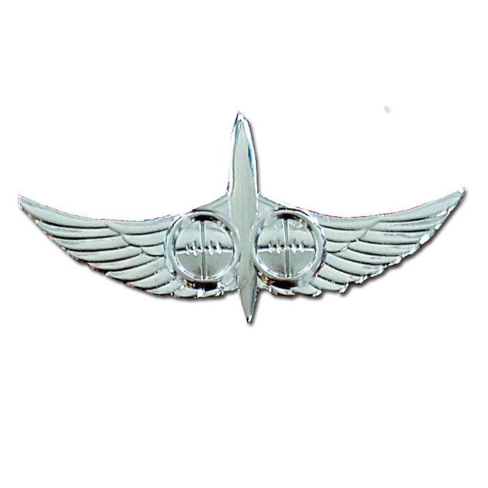 The "Combat Intelligence Collecting fighter pin