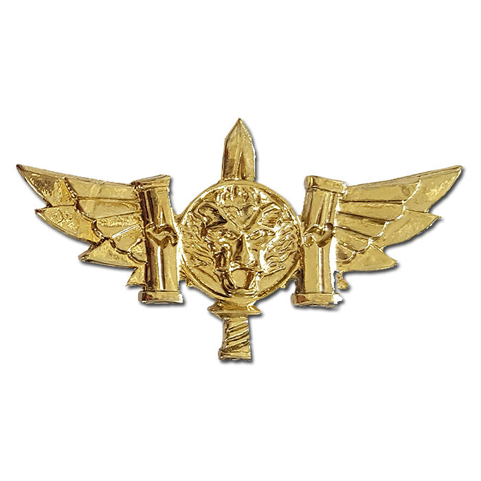 "KFIR" - 900th brigade warrior combat badge - gold plated