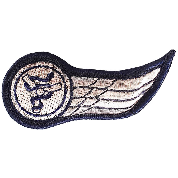 Rescue Unit 669 Warrior Cloth Wing Emblem (until 1989).