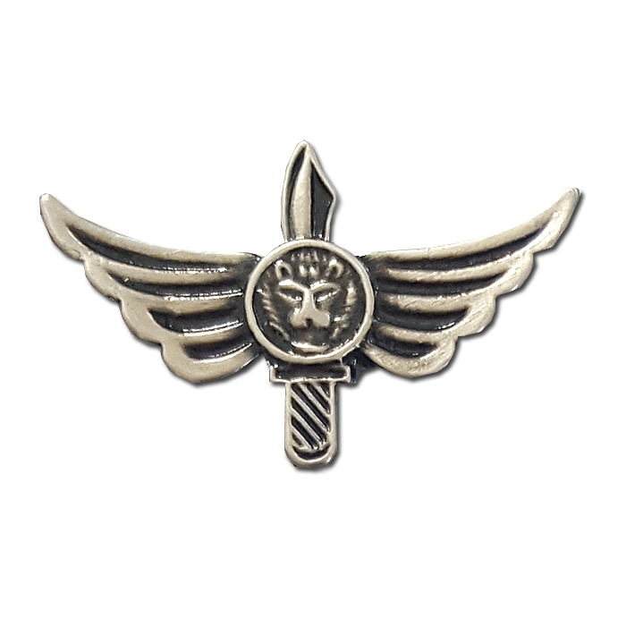 "KFIR" - 900th brigade warrior combat Small badge