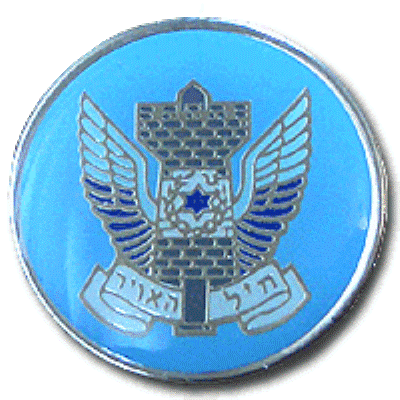Air Force Building Unit Enamel Badge