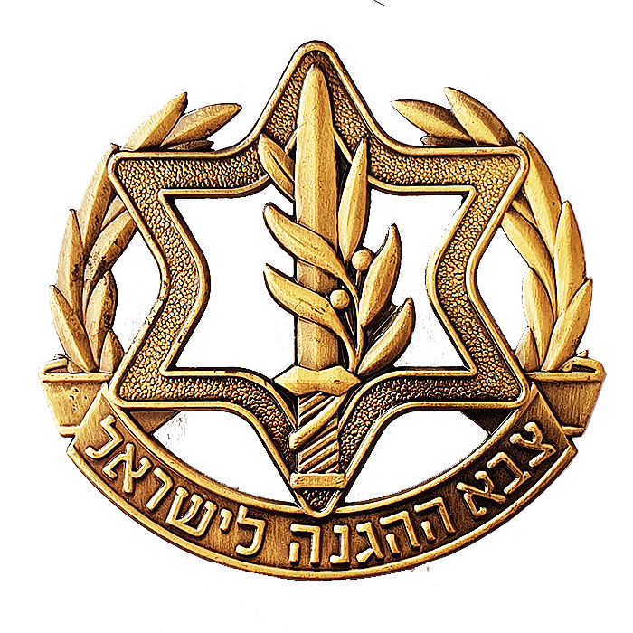 Chief of Staff Beret Badge (since 2021).