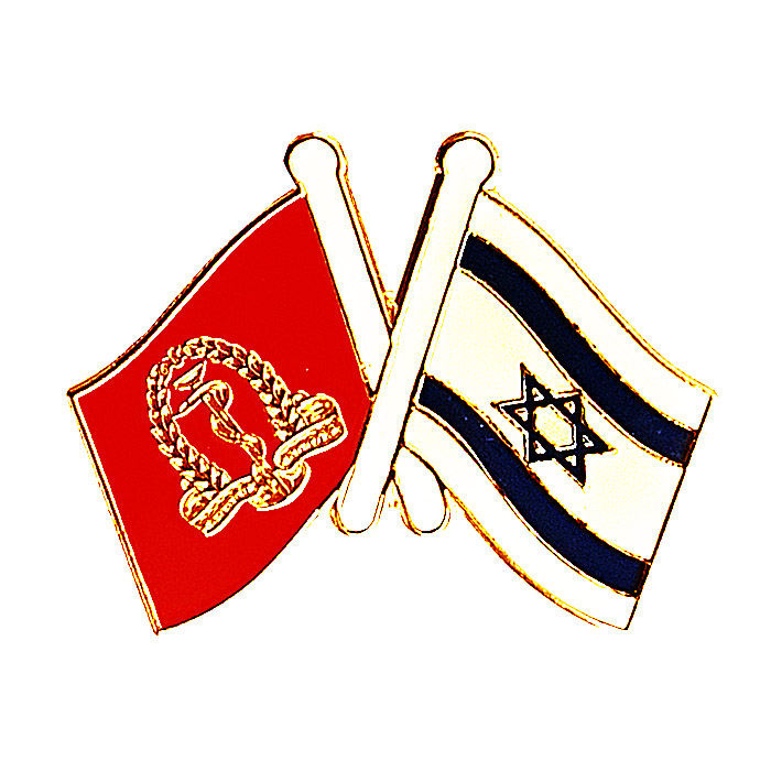 Israeli Army IDF Medical Corps Ensign flag and National flag Of Israel