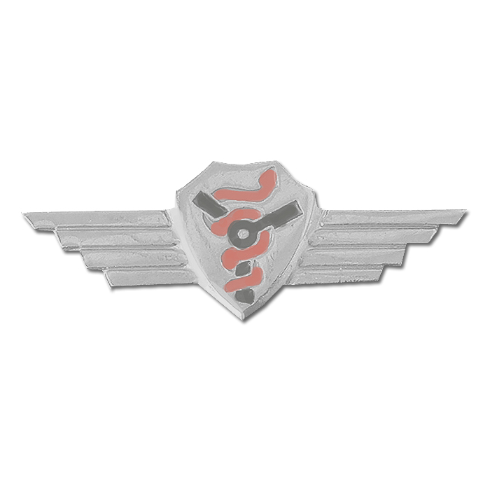IAF Flown Doctor wing Badge