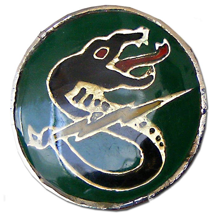 The 161st - "Black Snake"  Squadron Pin